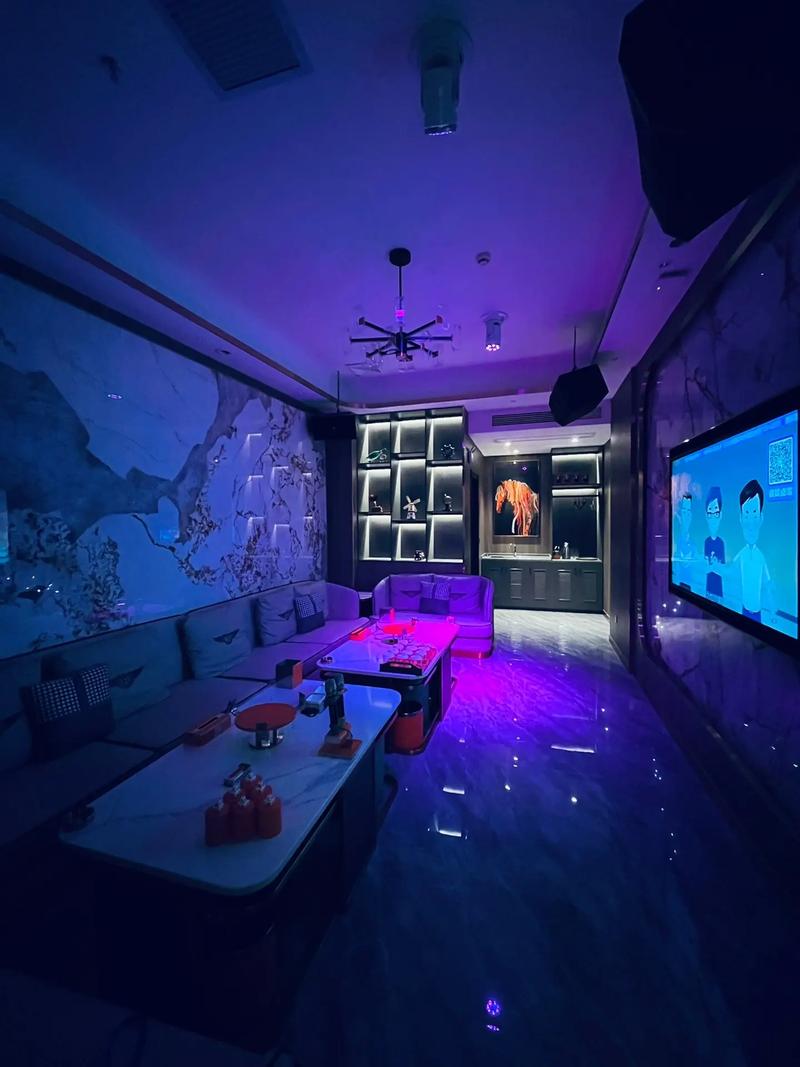 潍坊商务ktv有没有去过的人告诉你-寿光市ktv预定